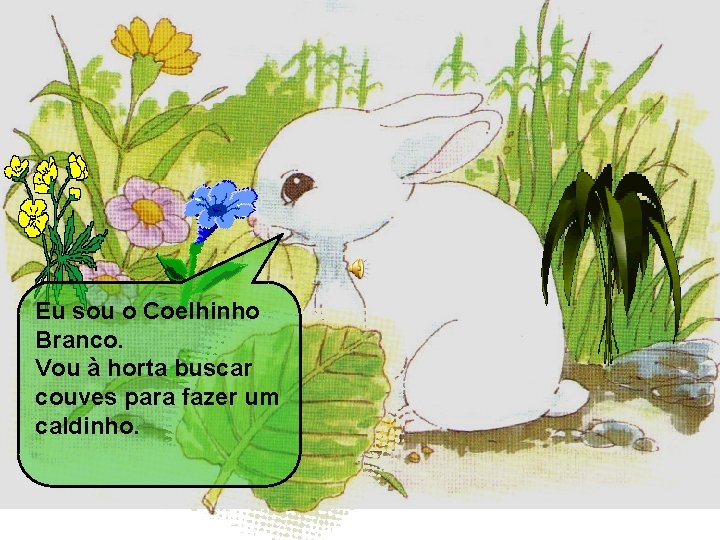 Eu sou o Coelhinho Branco. Vou à horta buscar couves para fazer um caldinho.