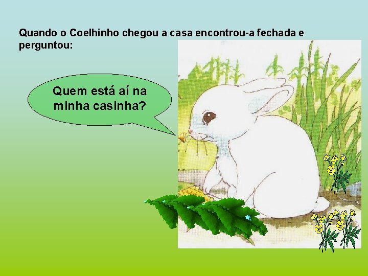 Quando o Coelhinho chegou a casa encontrou-a fechada e perguntou: Quem está aí na