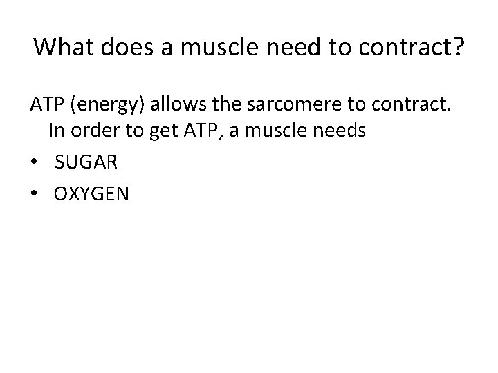 What does a muscle need to contract? ATP (energy) allows the sarcomere to contract.