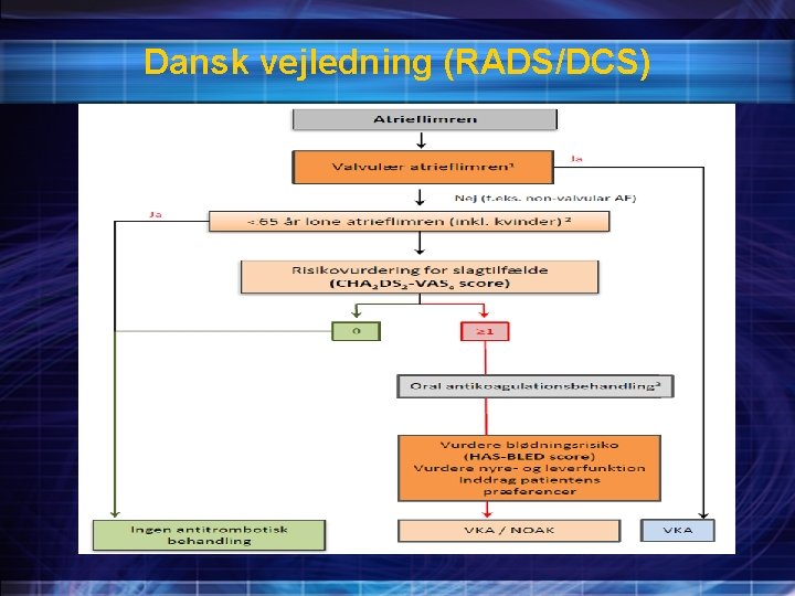 Dansk vejledning (RADS/DCS) 