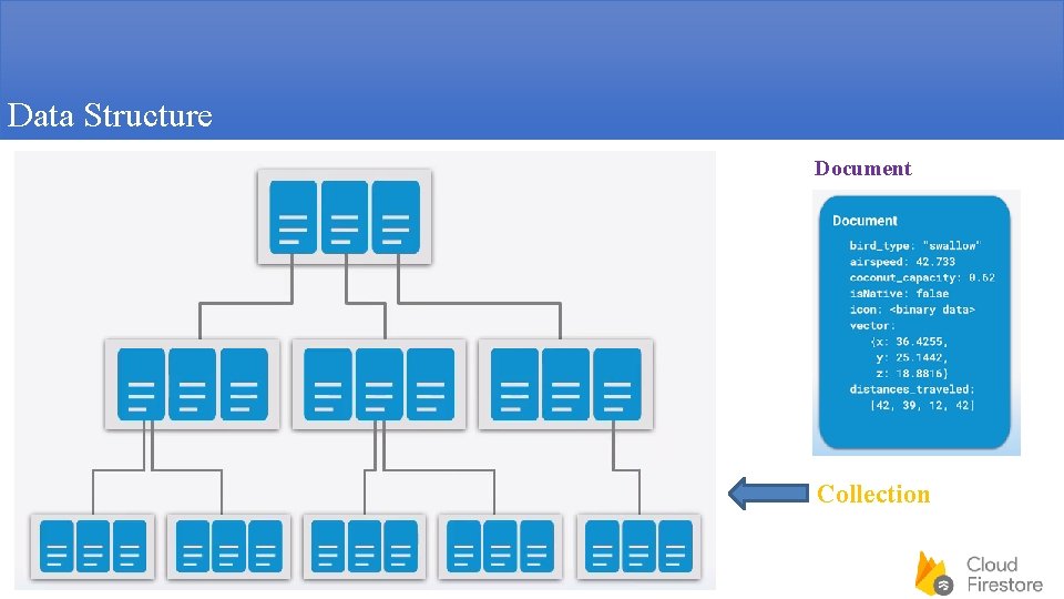 Data Structure Document Collection 