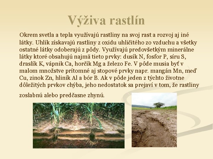 Výživa rastlín Okrem svetla a tepla využívajú rastliny na svoj rast a rozvoj aj