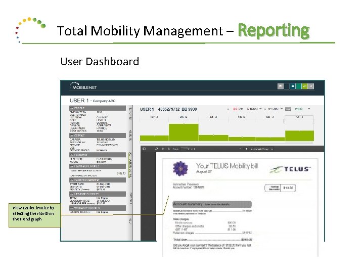 Total Mobility Management – Reporting User Dashboard View carrier invoice by selecting the month