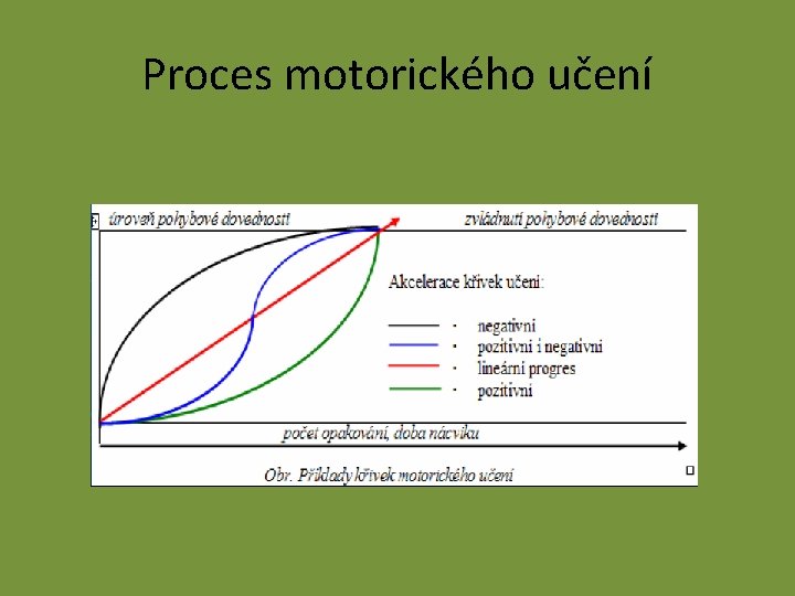 Proces motorického učení 
