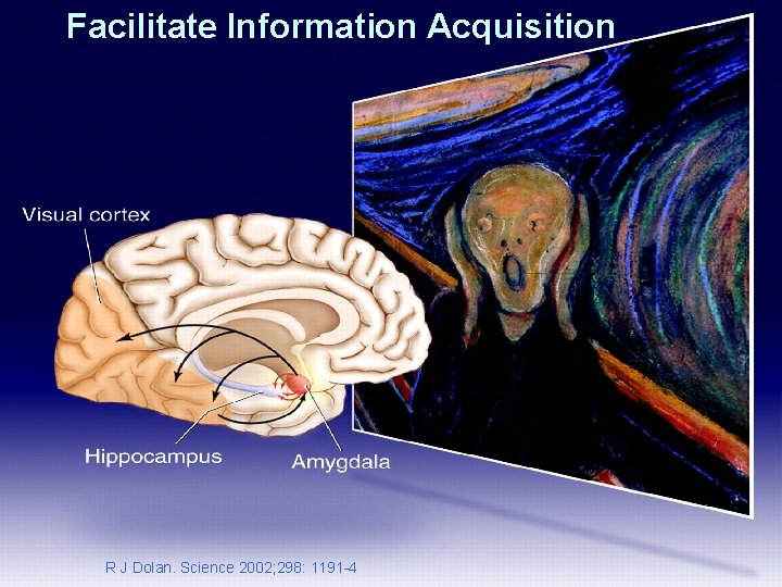 Facilitate Information Acquisition R J Dolan. Science 2002; 298: 1191 -4 