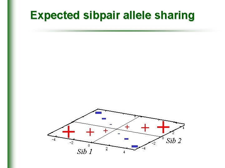 Expected sibpair allele sharing + + Sib 1 -+ - - + + Sib