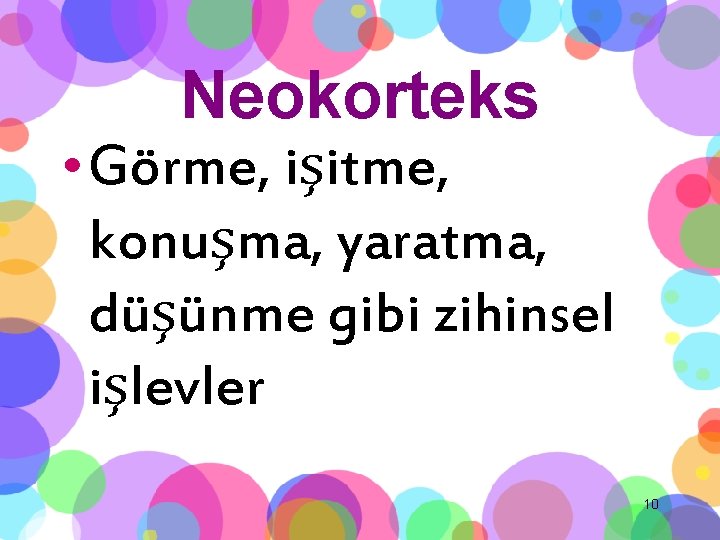 Neokorteks • Görme, işitme, konuşma, yaratma, düşünme gibi zihinsel işlevler 10 