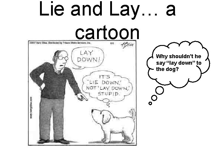 Lie and Lay… a cartoon Why shouldn’t he say “lay down” to the dog?