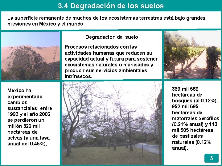 3. 4 Degradación de los suelos La superficie remanente de muchos de los ecosistemas