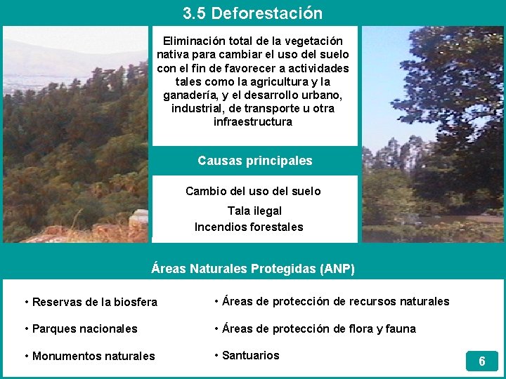 3. 5 Deforestación Eliminación total de la vegetación nativa para cambiar el uso del