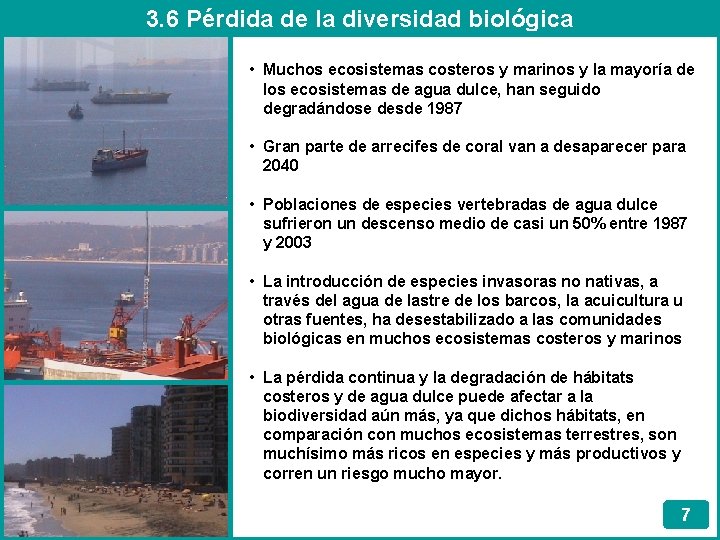 3. 6 Pérdida de la diversidad biológica • Muchos ecosistemas costeros y marinos y