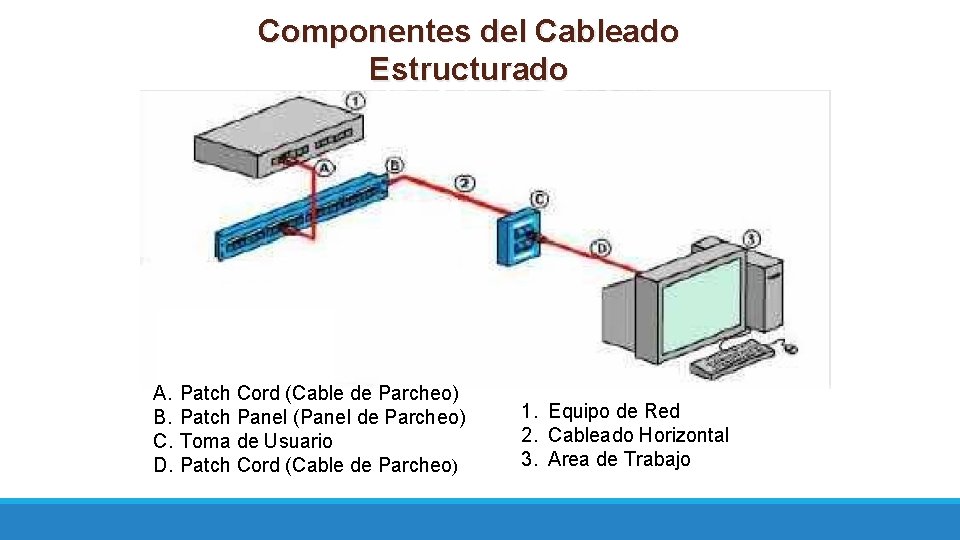 Componentes del Cableado Estructurado A. B. C. D. Patch Cord (Cable de Parcheo) Patch