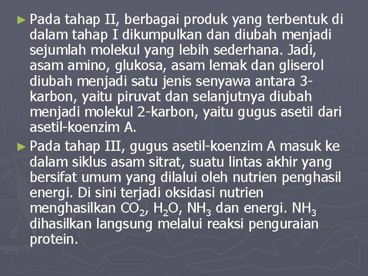 ► Pada tahap II, berbagai produk yang terbentuk di dalam tahap I dikumpulkan diubah