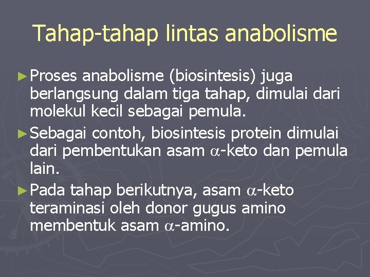 Tahap-tahap lintas anabolisme ► Proses anabolisme (biosintesis) juga berlangsung dalam tiga tahap, dimulai dari