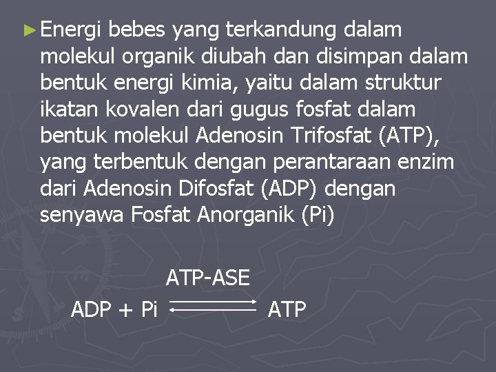 ► Energi bebes yang terkandung dalam molekul organik diubah dan disimpan dalam bentuk energi