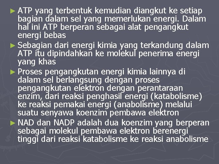 ► ATP yang terbentuk kemudiangkut ke setiap bagian dalam sel yang memerlukan energi. Dalam