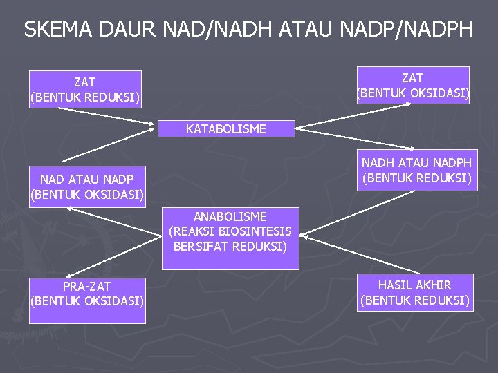 SKEMA DAUR NAD/NADH ATAU NADP/NADPH ZAT (BENTUK OKSIDASI) ZAT (BENTUK REDUKSI) KATABOLISME NADH ATAU