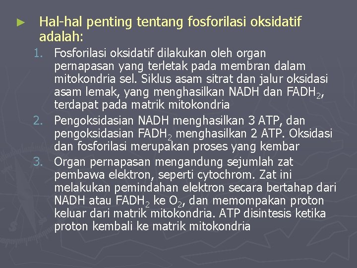 ► Hal-hal penting tentang fosforilasi oksidatif adalah: 1. Fosforilasi oksidatif dilakukan oleh organ pernapasan