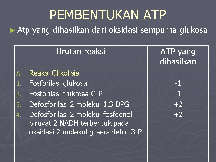 PEMBENTUKAN ATP ► Atp yang dihasilkan dari oksidasi sempurna glukosa Urutan reaksi A. 1.