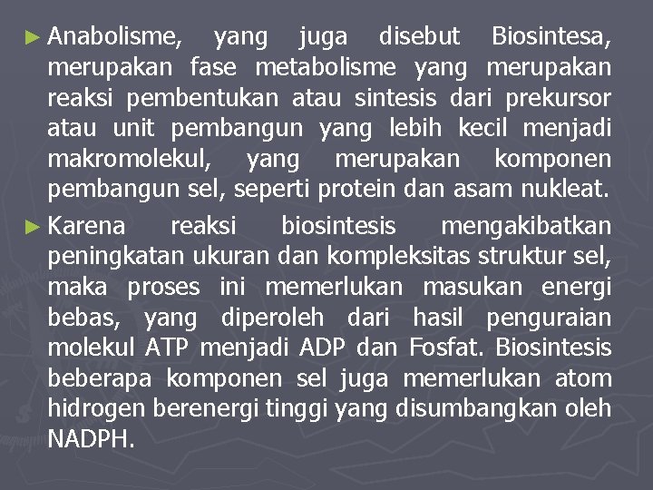 ► Anabolisme, yang juga disebut Biosintesa, merupakan fase metabolisme yang merupakan reaksi pembentukan atau