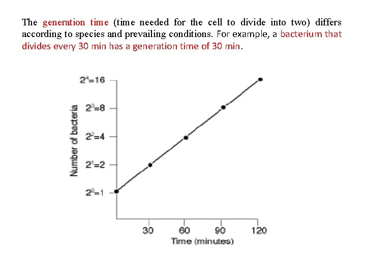 The generation time (time needed for the cell to divide into two) differs according