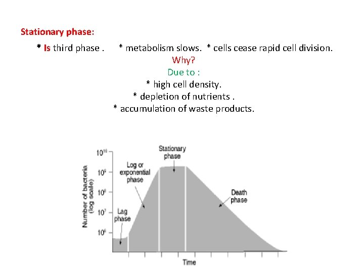 Stationary phase: * Is third phase. * metabolism slows. * cells cease rapid cell