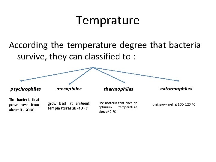 Bacterial growth The mathematics of bacterial growth is
