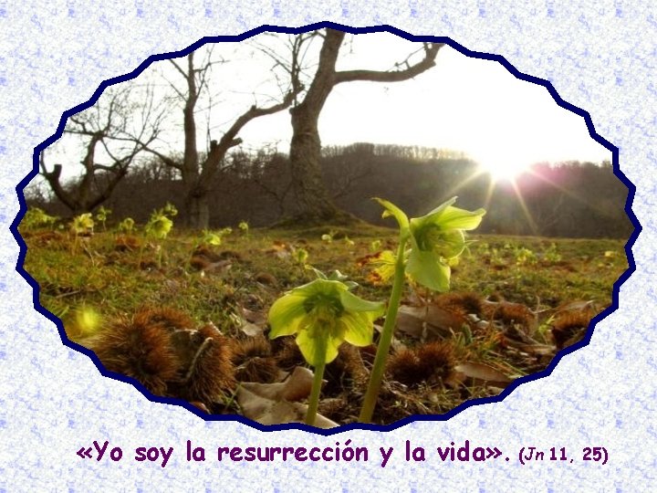  «Yo soy la resurrección y la vida» . (Jn 11, 25) 