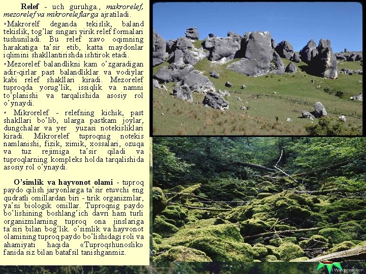 Relef - uch guruhga. , makrorelef, mezorelef va mikroreleflarga ajratiladi. • Makrorelf deganda tekislik, Relef - uch guruhga. , makrorelef, mezorelef va mikroreleflarga ajratiladi. • Makrorelf deganda tekislik,