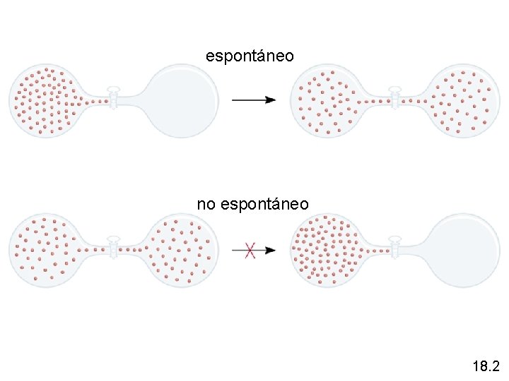 espontáneo no espontáneo 18. 2 