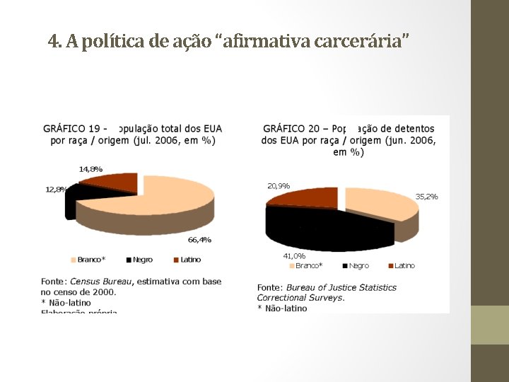 4. A política de ação “afirmativa carcerária” 