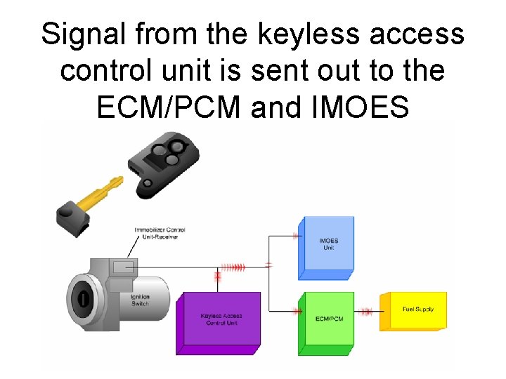 Signal from the keyless access control unit is sent out to the ECM/PCM and