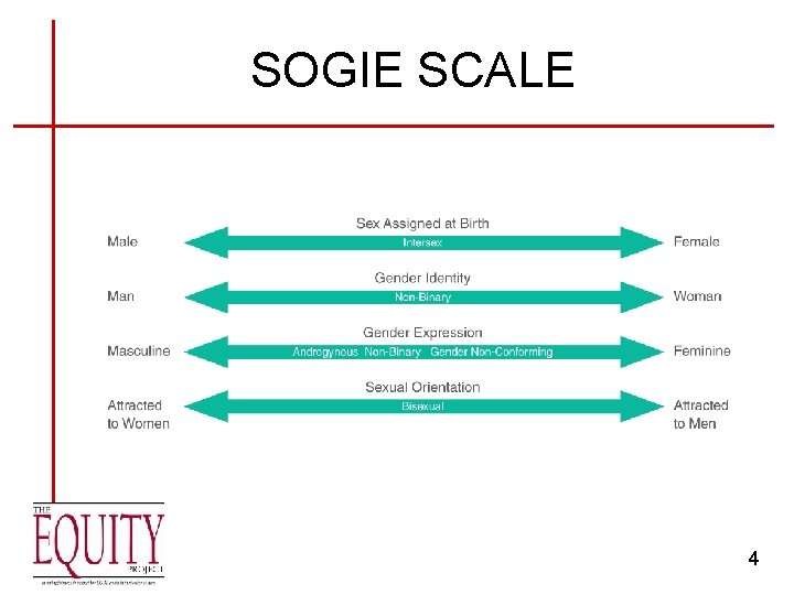 SOGIE SCALE 4 