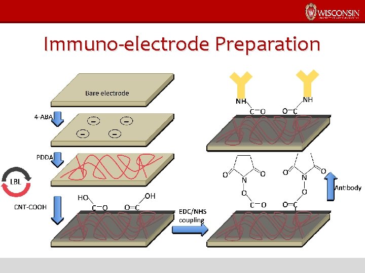 Immuno-electrode Preparation 