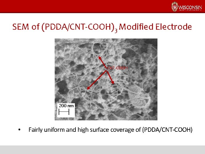 SEM of (PDDA/CNT-COOH)3 Modified Electrode CNT-COOH • Fairly uniform and high surface coverage of