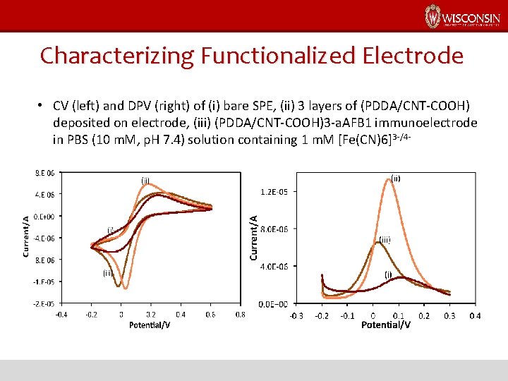 Characterizing Functionalized Electrode • CV (left) and DPV (right) of (i) bare SPE, (ii)