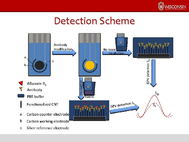 Detection Scheme 