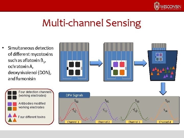 Multi-channel Sensing • Simultaneous detection of different mycotoxins such as aflatoxin B 1, ochratoxin