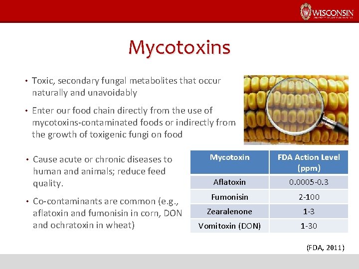 Mycotoxins • Toxic, secondary fungal metabolites that occur naturally and unavoidably • Enter our
