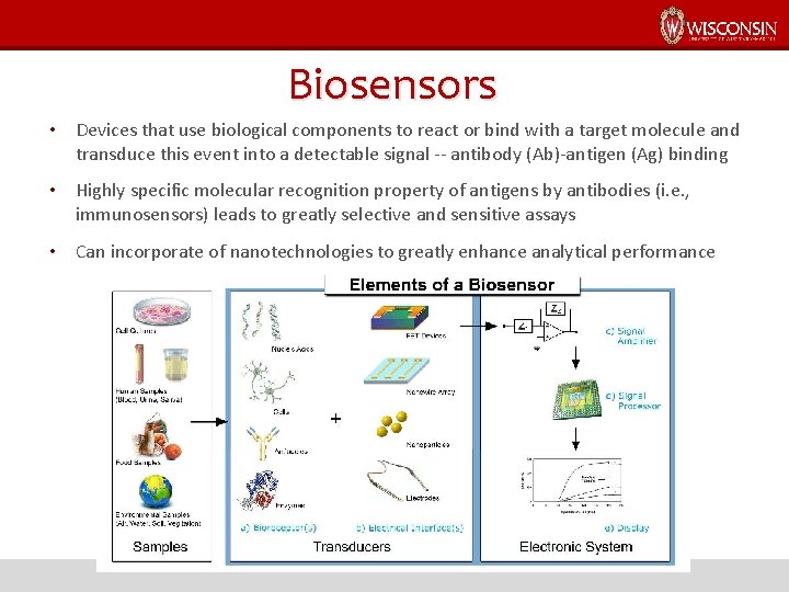 Biosensors • Devices that use biological components to react or bind with a target