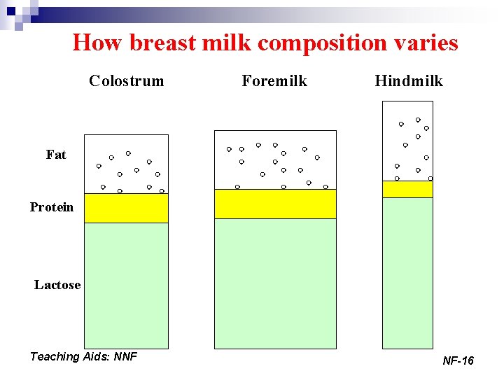How breast milk composition varies Colostrum Foremilk Hindmilk Fat Protein Lactose Teaching Aids: NNF