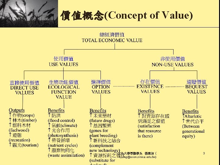 價值概念(Concept of Value) 文化大學景觀學系 楊重信（ cyang@econ. sinica. edu. tw) 3 