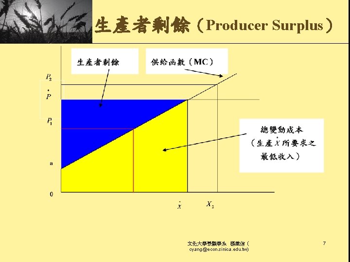 生產者剩餘（Producer Surplus） 文化大學景觀學系 楊重信（ cyang@econ. sinica. edu. tw) 7 
