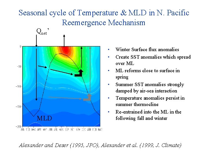 Seasonal cycle of Temperature & MLD in N. Pacific Reemergence Mechanism Qnet’ • •