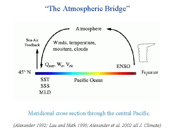 “The Atmospheric Bridge” Meridional cross section through the central Pacific (Alexander 1992; Lau and