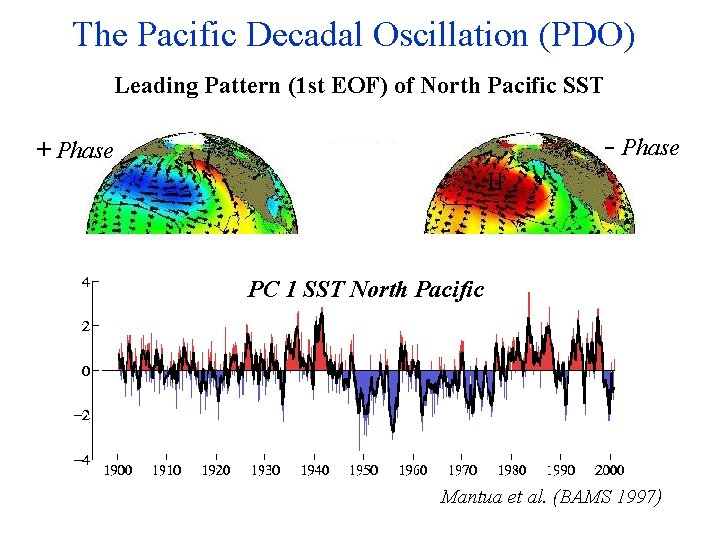 The Pacific Decadal Oscillation (PDO) Leading Pattern (1 st EOF) of North Pacific SST