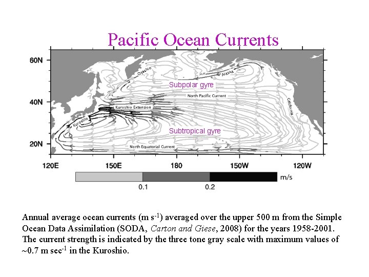 Pacific Ocean Currents Subpolar gyre Subtropical gyre Annual average ocean currents (m s-1) averaged