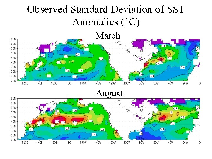 Observed Standard Deviation of SST Anomalies (°C) March August 