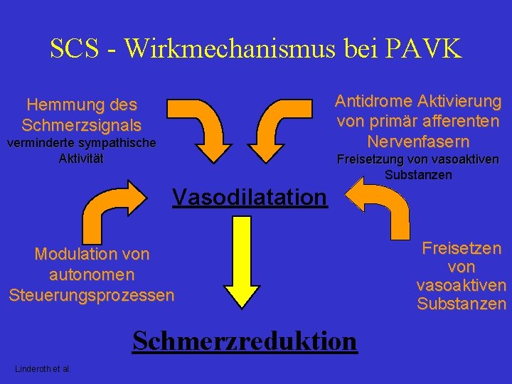 SCS - Wirkmechanismus bei PAVK Antidrome Aktivierung von primär afferenten Nervenfasern Hemmung des Schmerzsignals