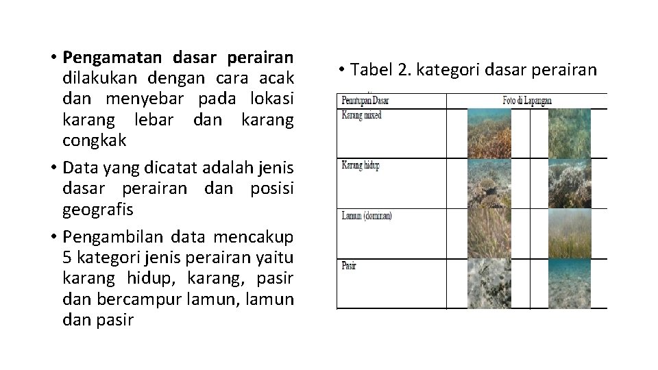  • Pengamatan dasar perairan dilakukan dengan cara acak dan menyebar pada lokasi karang